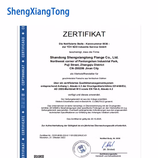ANSI B16.5/ASTM A105 DIN/GOST/BS Acero al carbono/ Q235 / Acero inoxidable FF RF Wn/So/Roscado/Placa/Socket Brida forjada Fabricación en China